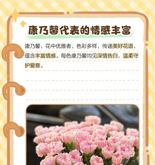 每个季节都有哪些花象征着特定的意义？