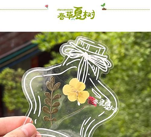 好绿色永生花的寓意是什么？它们象征着什么？