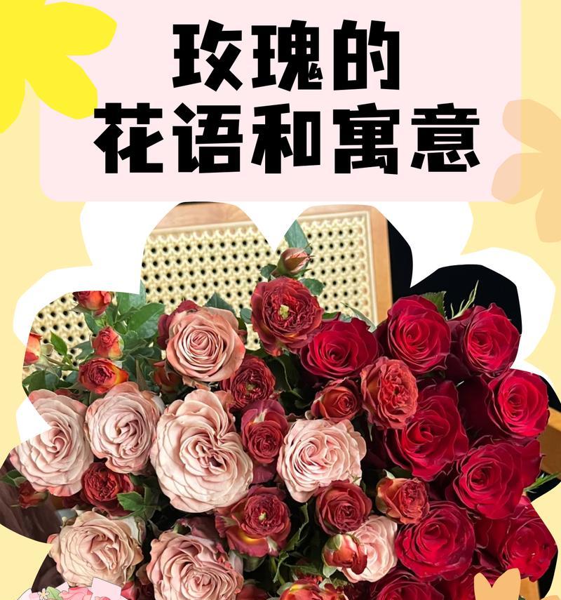 玫瑰花的意义就是浪漫吗？玫瑰花的象征意义是什么？
