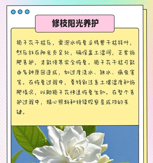 栀子花的寓意是什么？栀子花的传说有哪些？