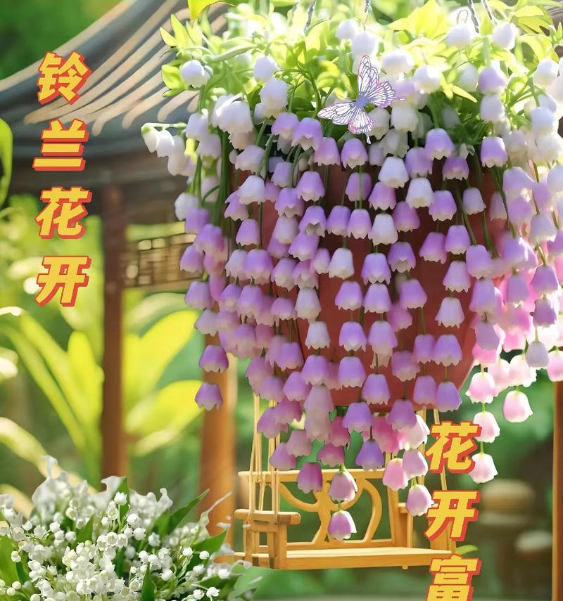 哪种花寓意平安幸运？平安幸运花语是什么？