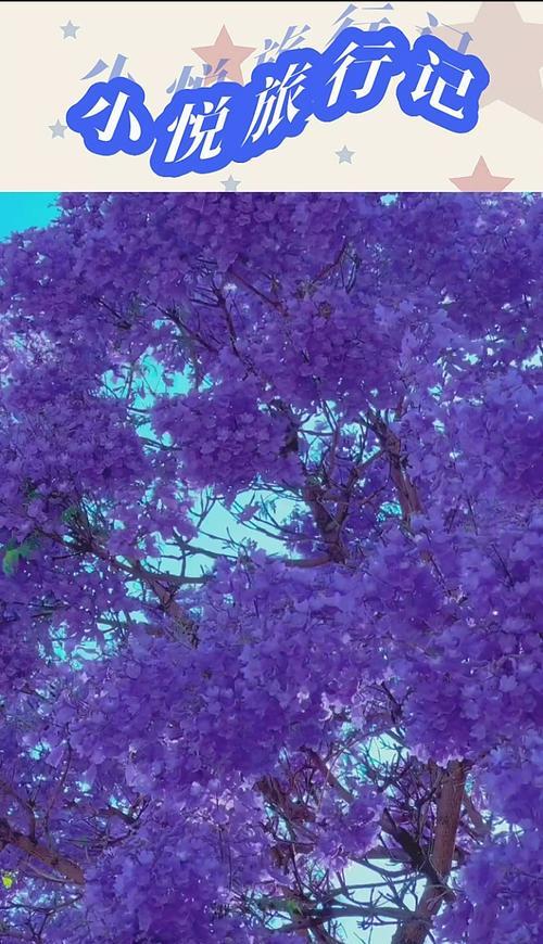 花语平淡幸福是什么意思？哪些花代表了平淡的幸福？