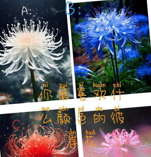 哪种花象征不死的爱情？不死爱情之花的含义是什么？