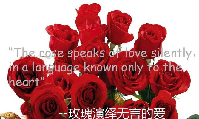 中西方文化中花的意义有何不同？