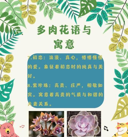 短信祝福中常用的花语有哪些？它们的寓意是什么？