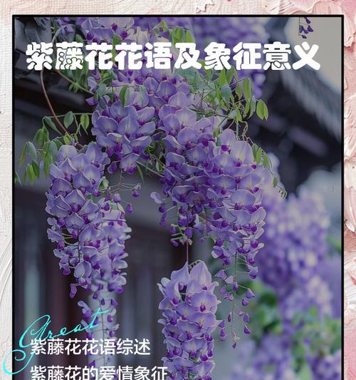 友谊的浪漫花语是什么？如何用花表达友谊？