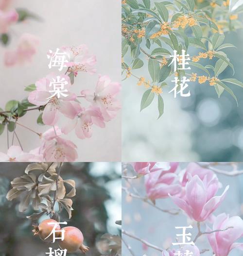 哪些花象征结婚的荣华富贵？结婚时如何选择寓意富贵的花？