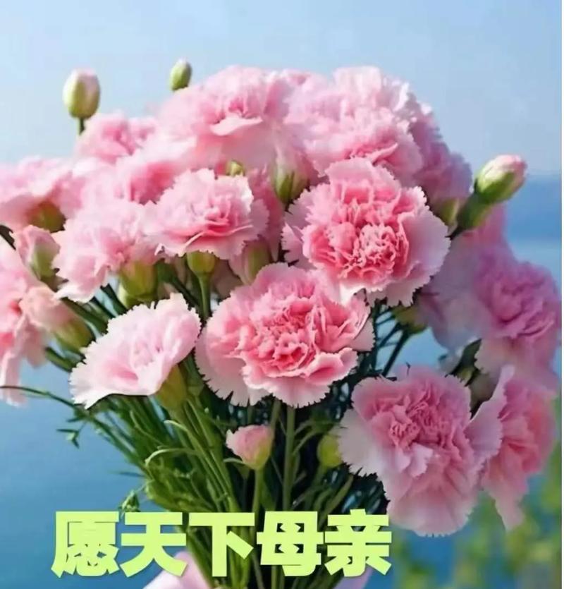 母亲节送花的意义是什么？哪些花卉最受欢迎？