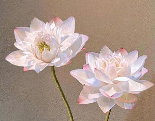 折哪种花寓意新年平安顺遂？新年平安的花语是什么？