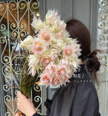 新娘手捧花搭配有什么含义？花束的象征意义是什么？