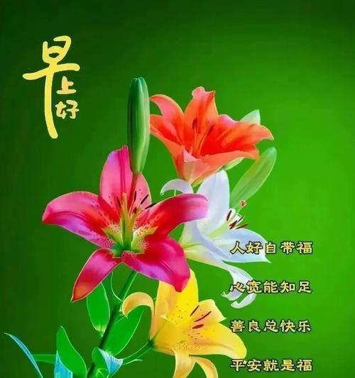 哪种花寓意着一生快乐？