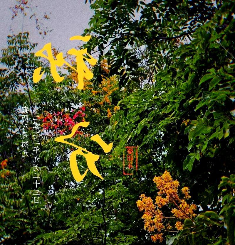 秋分时节哪些花寓意爱情？