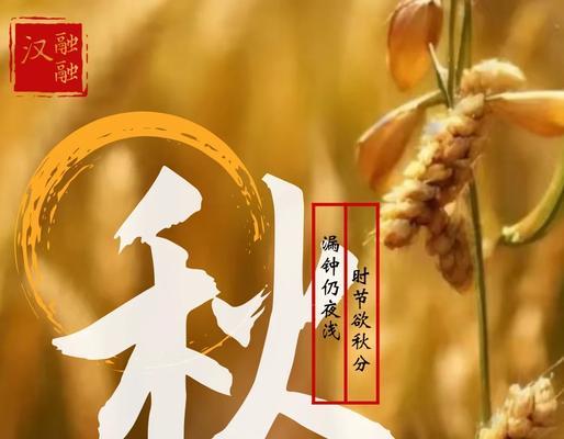 秋分时节哪些花寓意爱情？