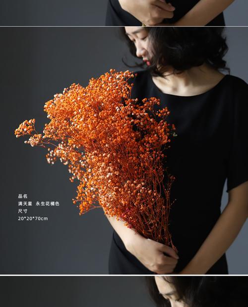 黄色永生花代表什么？黄色永生花的寓意是什么？