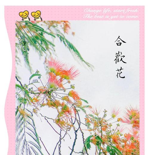 花的和谐象征通常代表什么寓意？