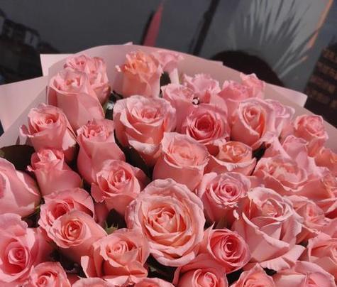 粉色的玫瑰花代表的含义是什么？它有什么特别的寓意吗？