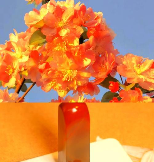 哪种花象征着文化身份？