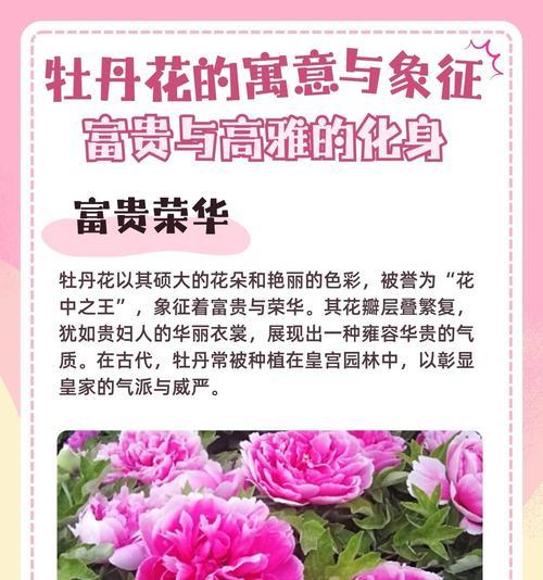 黄色的牡丹花的寓意是什么？
