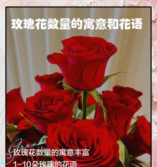 花的寓意是什么？如何通过花语表达爱情？