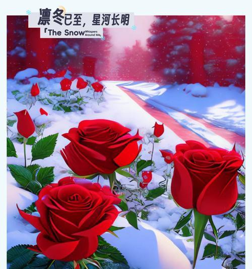 红色花手工寓意什么？如何制作寓意好的红色花？