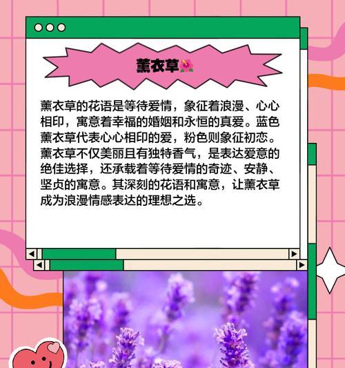 百花如何比喻爱情？它们的象征意义是什么？