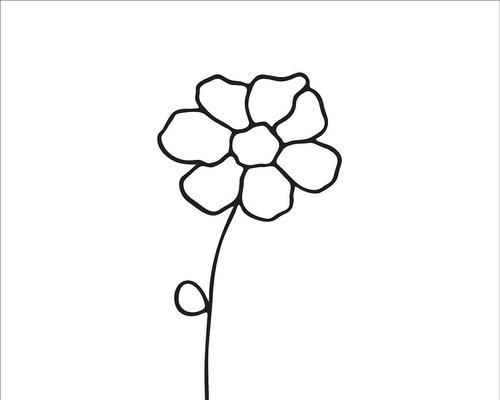 七色花的象征意义是什么？