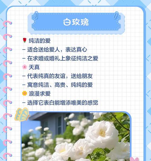 象征圆满爱情的花有哪些？