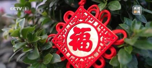 过年时红色花的寓意是什么？传统意义是什么？