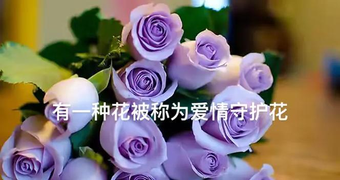 哪些花的花语代表爱情的分离？