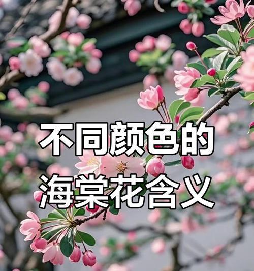 每种颜色的花都有什么含义？