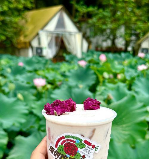 荷花与绿色玫瑰花共同寓意什么？