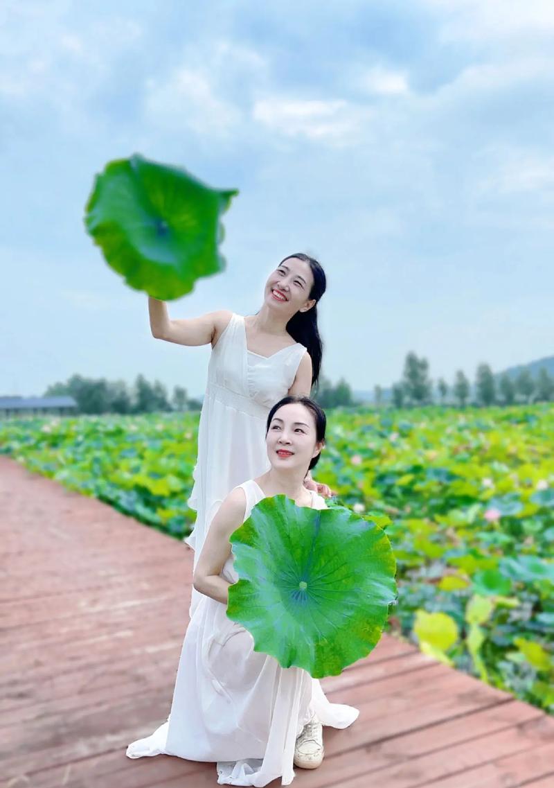 荷花与绿色玫瑰花共同寓意什么？