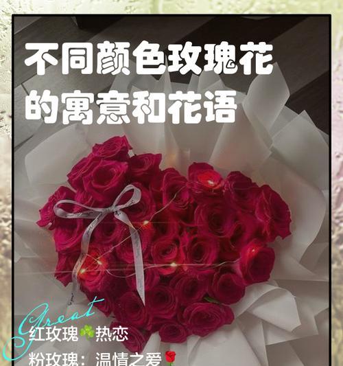 热烈爱情的象征有哪些花？它们的花语是什么？