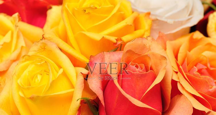 橙色和黄色的花寓意是什么？它们象征着什么？