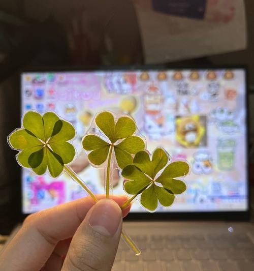 树莓色的花语是什么？