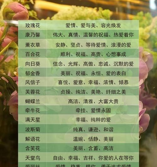 和气花语通常表达什么美好愿望？
