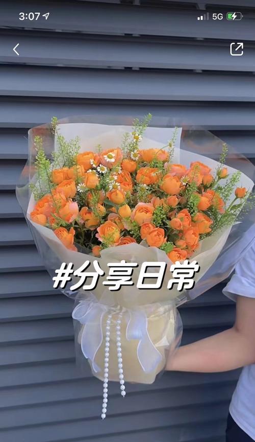 和气花语通常表达什么美好愿望？