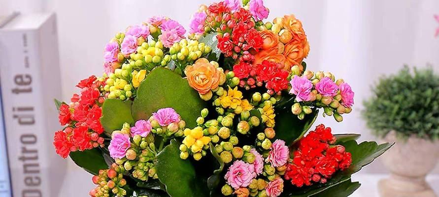 哪种盆花寓意长寿？长寿花的盆花有哪些？