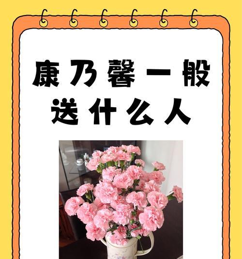 诗路花语色是什么意思？有哪些花语？