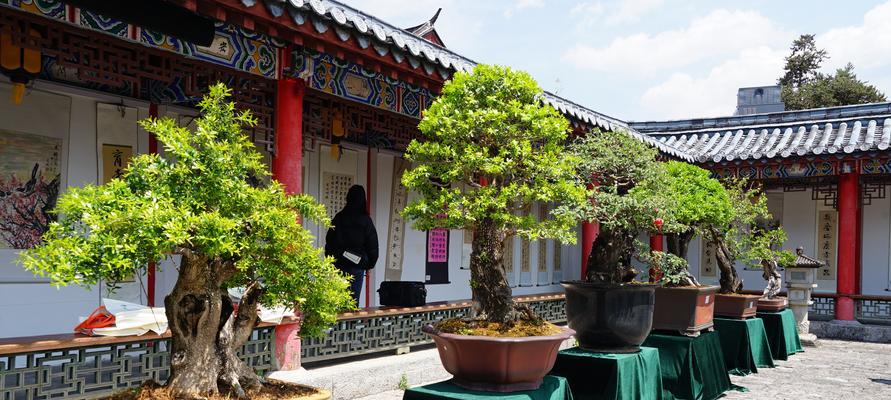 诗路花语色是什么意思？有哪些花语？