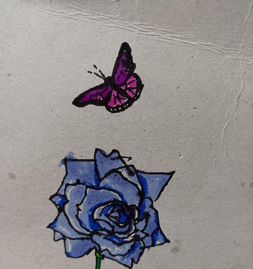 象征自由浪漫爱情的花有哪些？