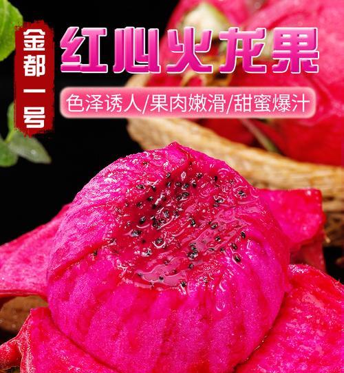 火龙果花送礼有什么寓意？它的象征意义是什么？