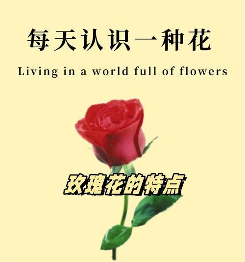 花语幽冥的创作背景是什么？它的寓意有哪些？