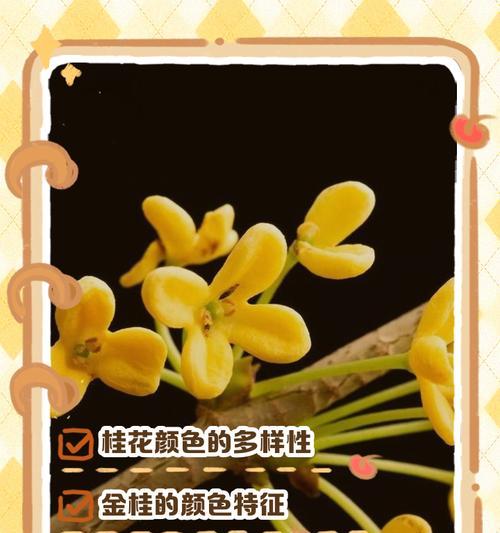送什么颜色的花有特定含义？颜色与花的寓意有何关联？