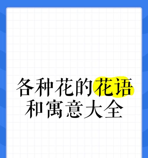 长辈送的花有什么特别的花语寓意？