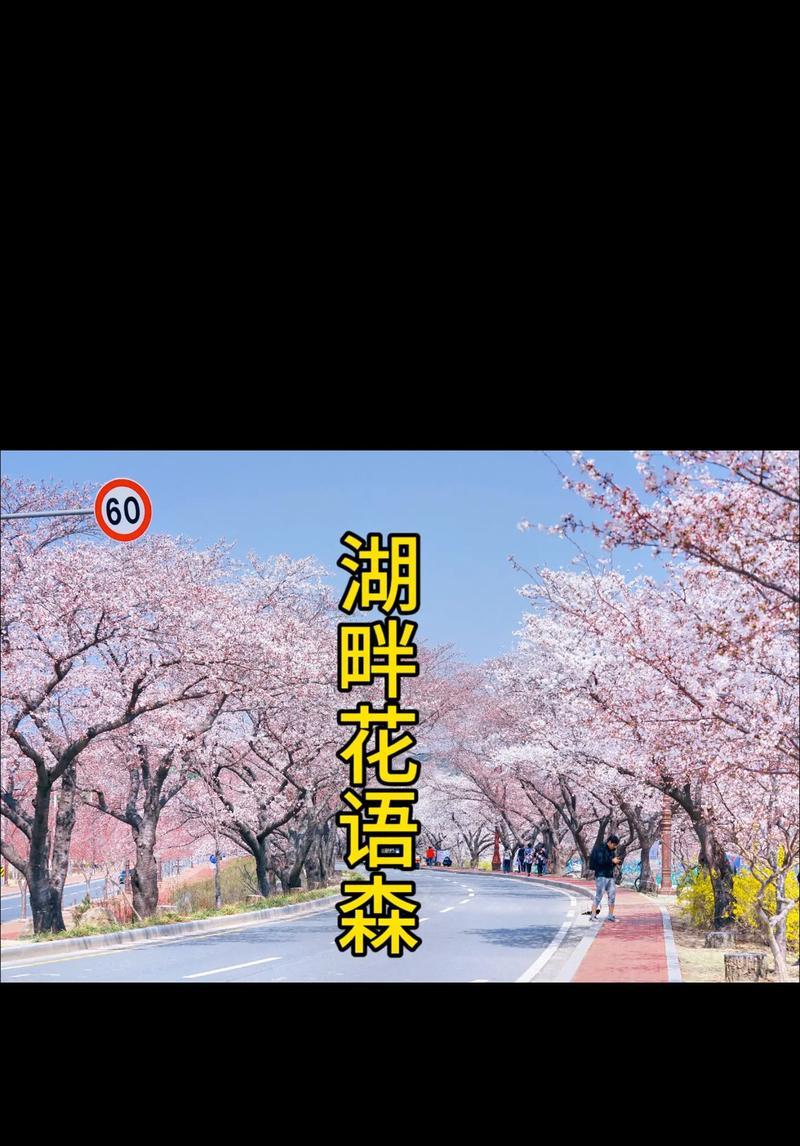 湖畔花语特色花卉有哪些？如何挑选？
