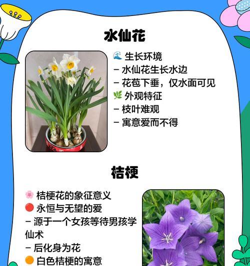 湖畔花语特色花卉有哪些？如何挑选？