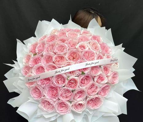寓意友谊的粉色花是什么？哪种粉色花象征友谊？