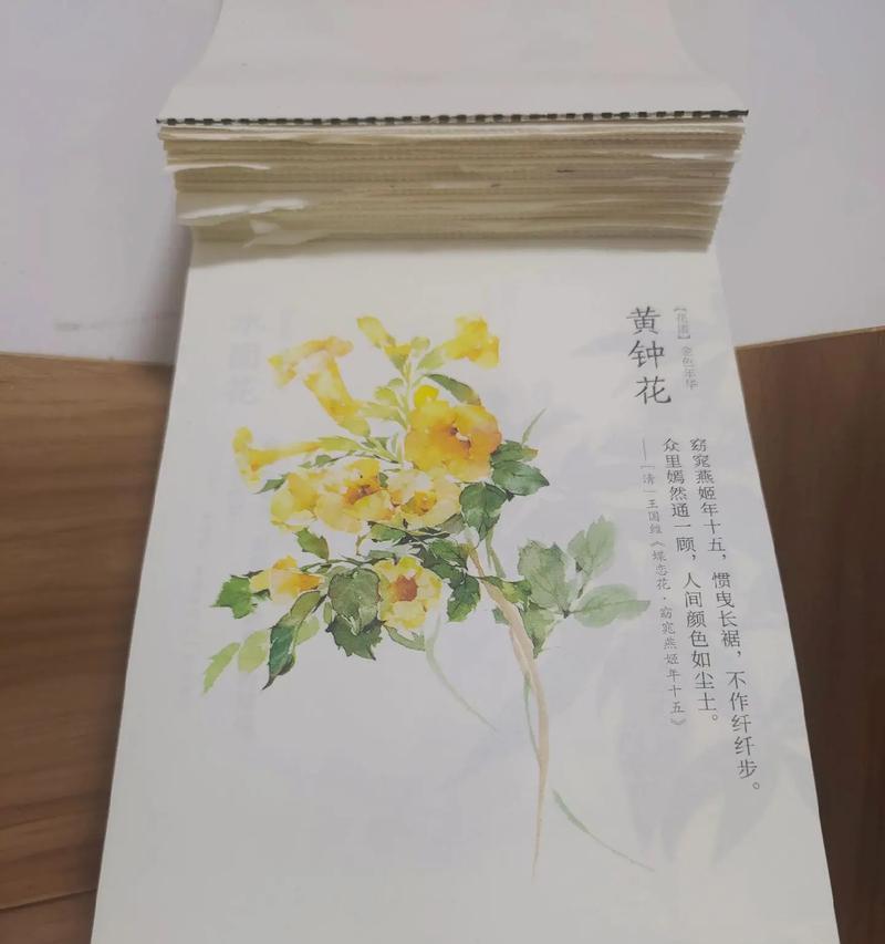 金色花项链代表什么？金色花的花语和象征是什么？
