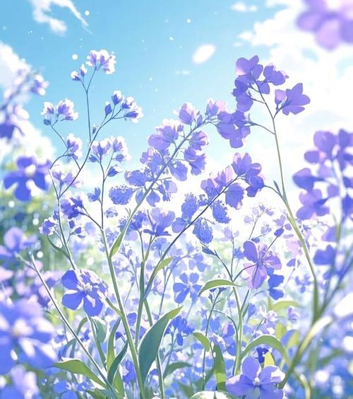 紫罗兰花象征着什么爱情？